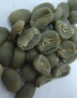 15LBS-Sumatra-Jumbo-Bean-Unroasted-Green-Coffee-Beans-0