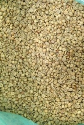 5LBS-Costa-Rica-Tarrazu-Unroasted-Green-Coffee-Beans-0-0