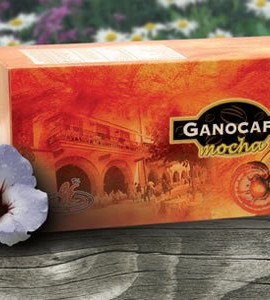 Ganocafe-Mocha-by-Gano-Excel-USA-Inc-15-Packets-0