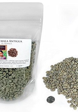 Guatemala-Antigua-Green-Unroasted-Coffee-Beans-1-LB-0